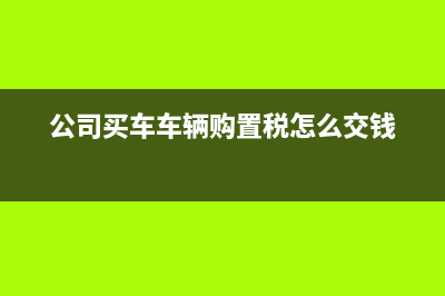 企业中征码怎么填？(企业中征码怎么查询)