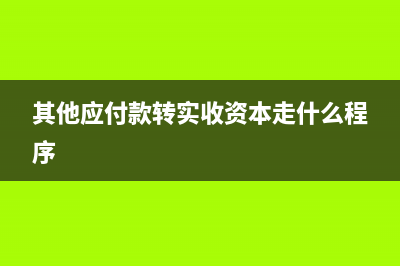 工资薪金个人所得税会计分录如何填写？(工资薪金个人所得税怎么申报)