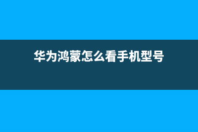 鸿蒙怎么查手机软件使用时间?鸿蒙查看手机软件使用时间教程(华为鸿蒙怎么看手机型号)