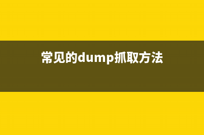 获取dump文件(常见的dump抓取方法)