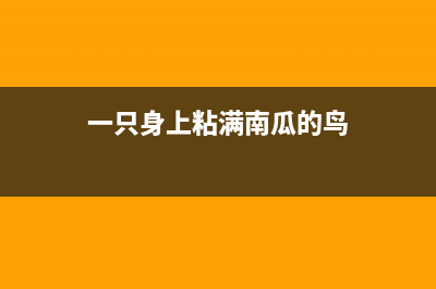 笔记本电池的正确使用方法(笔记本电池的正负极区分)