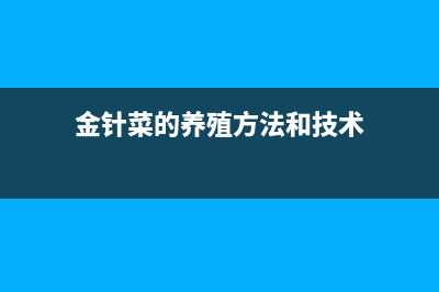 金针菜的养殖方法与注意事项(图文)(金针菜的养殖方法和技术)