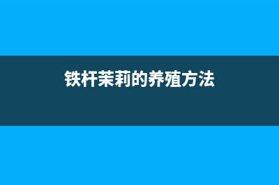 茉莉的养殖方法和注意事项(图文)(铁杆茉莉的养殖方法)