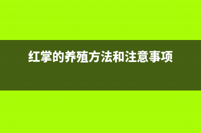 红掌的养殖方法和注意事项(图文)(红掌的养殖方法和注意事项)