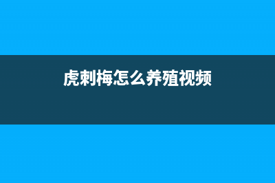 微软 Win11 Dev 预览版 22478更新发布(附更新内容大全)(windows 11 build 21996.1 dev)