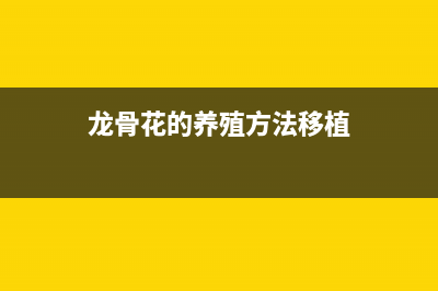 前端插件库之vue3使用vue-codemirror插件(前端常用插件汇总)