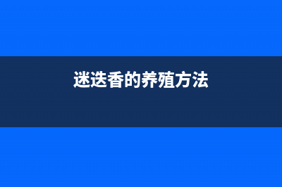 expl32.exe是什么进程 作用是什么 expl32进程信息查询(explore.exe)