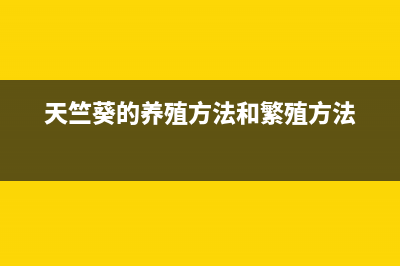 messenger.exe是什么进程 有什么用 messenger进程查询(messenger 是什么意思)