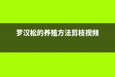 HTML img 元素无法显示 base64 图片的可能原因(html img位置)