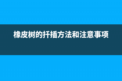 fpxpress.exe是什么进程 有什么作用 fpxpress进程查询(fpx是什么文件)
