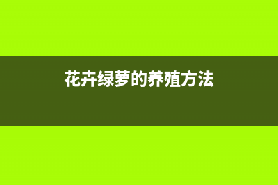 什么时候使用多路由协议？什么是距离向量路由协议？(什么时候使用多进程)
