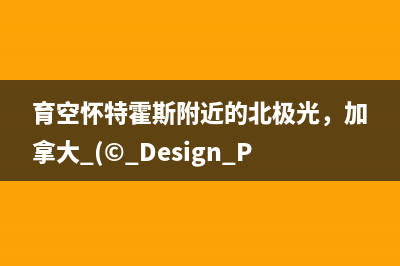最贵的苹果APP是什么(苹果手机最贵的软件是哪个)