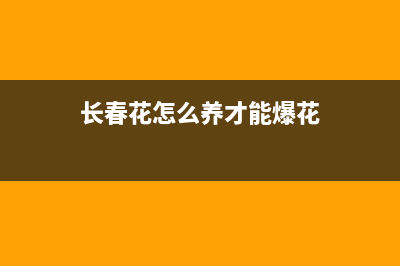 使用js在前端web页面调用打印机(js在web前端中的作用)
