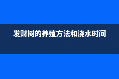 发财树的养殖方法和注意事项(发财树的养殖方法和浇水时间)