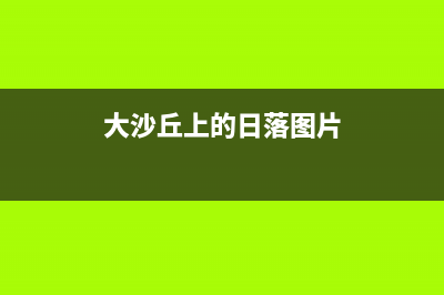迷迭香怎么养,阳台如何养殖迷迭香(图文)(迷迭香怎么养殖方法)