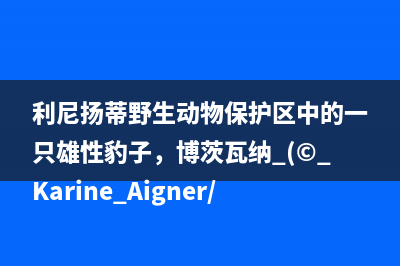 TransUnet官方代码测试自己的数据集（已训练完毕）(transit code)