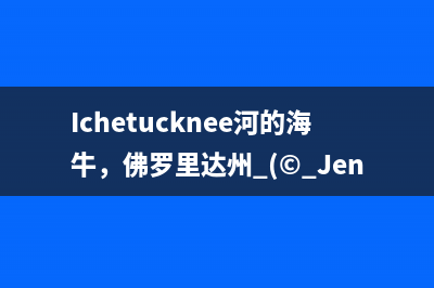 喉咙有异物怎么办(喉咙有异物怎么咳出来)