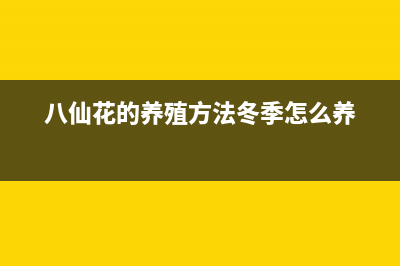 八仙花的养殖方法(八仙花的养殖方法冬季怎么养)