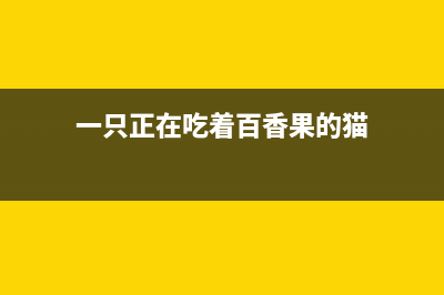 计算机视觉会议（CVPR，ECCV，ICCV，NIPS，AAAI，ICLR等）(计算机视觉会议2023年11月)