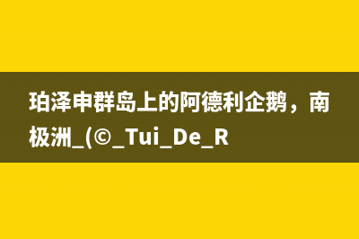 单臂路由小实验？Switch配置有哪些？(单臂路由实验目的)