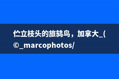 idea为web项目添加tomcat并配置Artifacts(idea添加web项目)