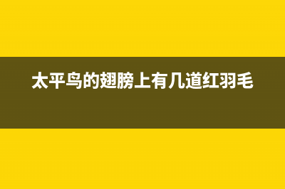 Html中display的应用(html中display none)