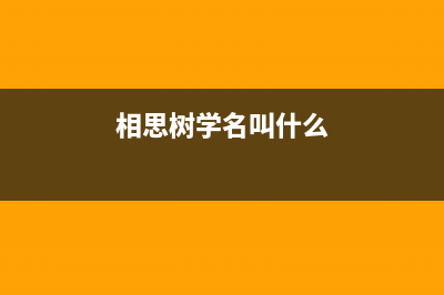 【前端工程化】配置package.json中scripts命令脚本，新手必学(前端工程化的理解简书)
