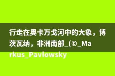 vue实现列表自动滚动的方式（二）(vue每一列内容过多自动换行)