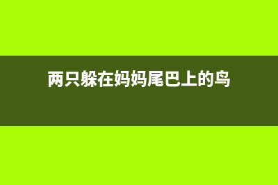【uni-app系列】uni-app之nvue使用(uni-app介绍)