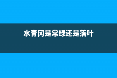 精确控制 AI 图像生成的破冰方案，ControlNet 和 T2I-Adapter(精确控制 英文)