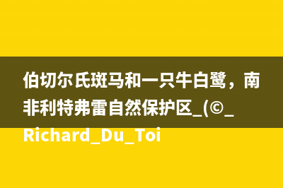JS XMLHttpRequest对象详解