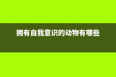 拥有自我意识的AI：AutoGPT ｜ 得物技术(拥有自我意识的动物有哪些)