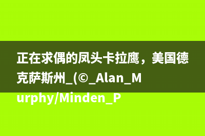 GPT-4，大增长时代的序幕(增长gdp是什么意思)