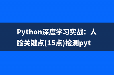 Python深度学习实战：人脸关键点(15点)检测pytorch实现