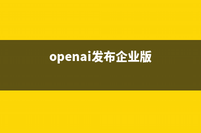 OpenAI发布ChatGPT：程序员瞬间不淡定了(openai发布企业版)