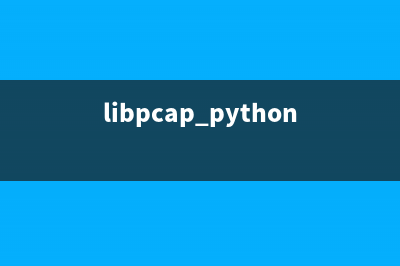 python3使用libpcap库进行抓包及数据处理(libpcap python)