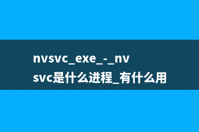 npssvc.exe - npssvc是什么进程 有什么用