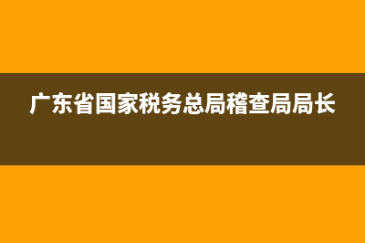 广东省国家税务局电子发票应用系统 (广东省国家税务总局稽查局局长)