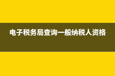 电子税务局查询备案信息(税务电子备案表在哪里查询) (电子税务局查询一般纳税人资格)