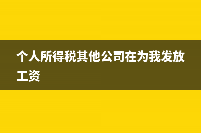 个人所得税其他扣除包括什么？ (个人所得税其他公司在为我发放工资)