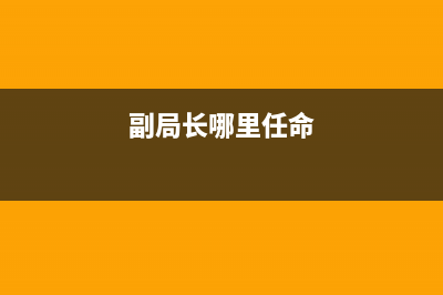副局长由谁任命？ (副局长哪里任命)