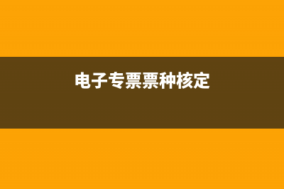 全电票种核定申请流程？ (电子专票票种核定)