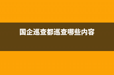 国企巡查都巡查什么？ (国企巡查都巡查哪些内容)