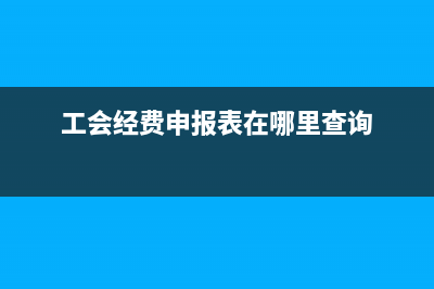 工会经费申报表怎么填？ (工会经费申报表在哪里查询)