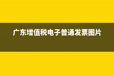 广东增值税电子普通发票如何作废 (广东增值税电子普通发票图片)