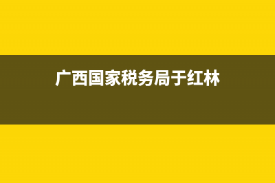 广西国家税务局网上申报(广西税务申报教程) (广西国家税务局于红林)
