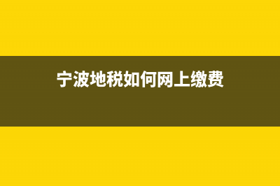宁波地税如何网上申报系统(宁波税务app怎么申报) (宁波地税如何网上缴费)