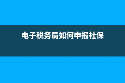 电子税务局如何实名认证？ (电子税务局如何申报社保)