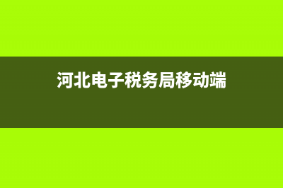 河北国税电子税务局网上申报系统(河北省电子税务局网上办税大厅) (河北电子税务局移动端)