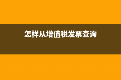 怎样从增值税发票开票税控软件导出销项明细？ (怎样从增值税发票查询)